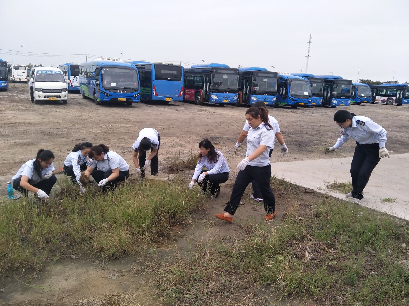 公交集團佳連公司開展停車場拔草活動 為創文助力
